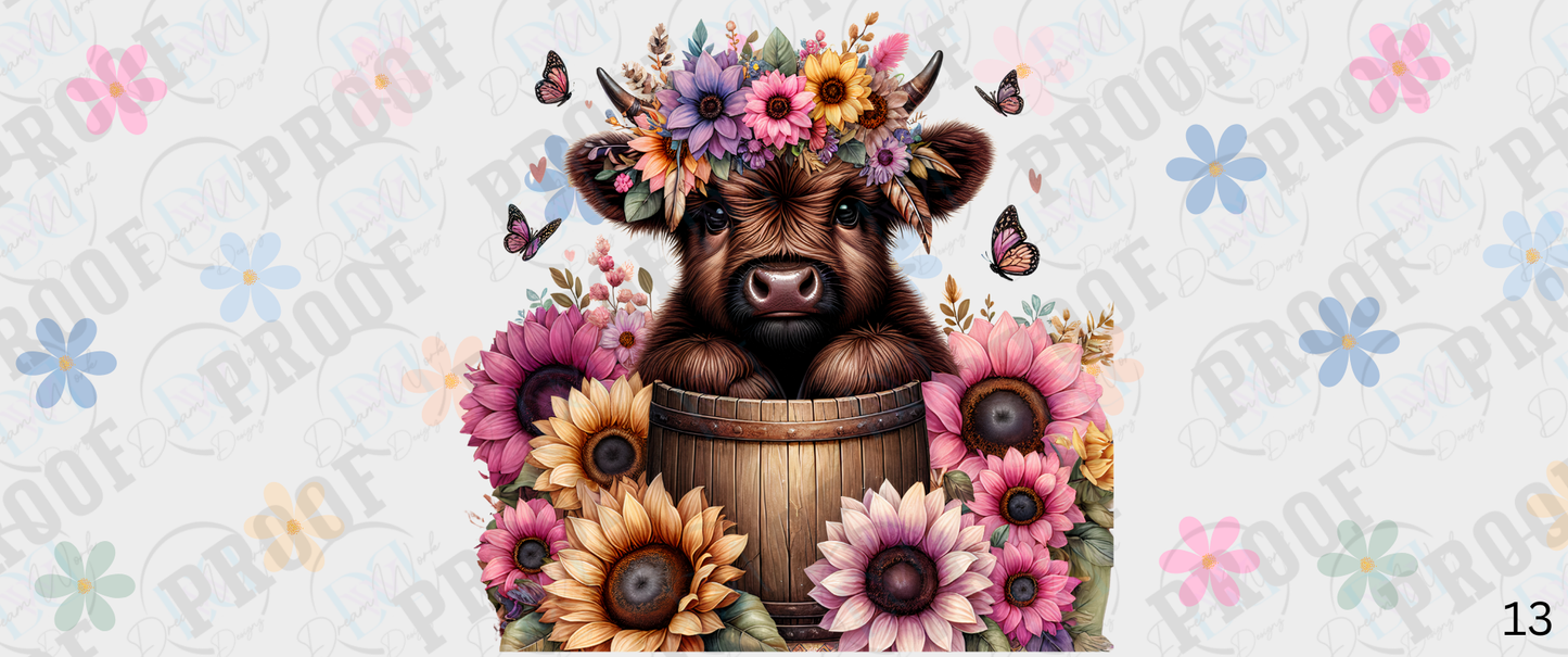 Western/Cow (Multiple Options)